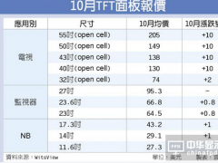 價格續揚！ 中尺寸面板 10月大漲10美元