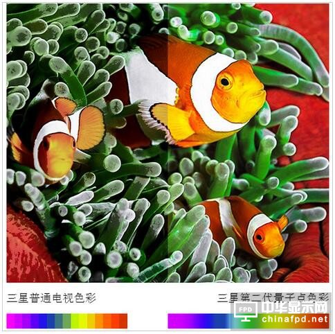 三星電子：2017年彩電業將進入QLED時代